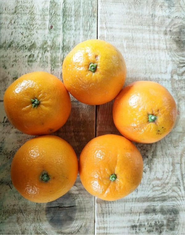 Taronja suc
(quilogram)
Alacant