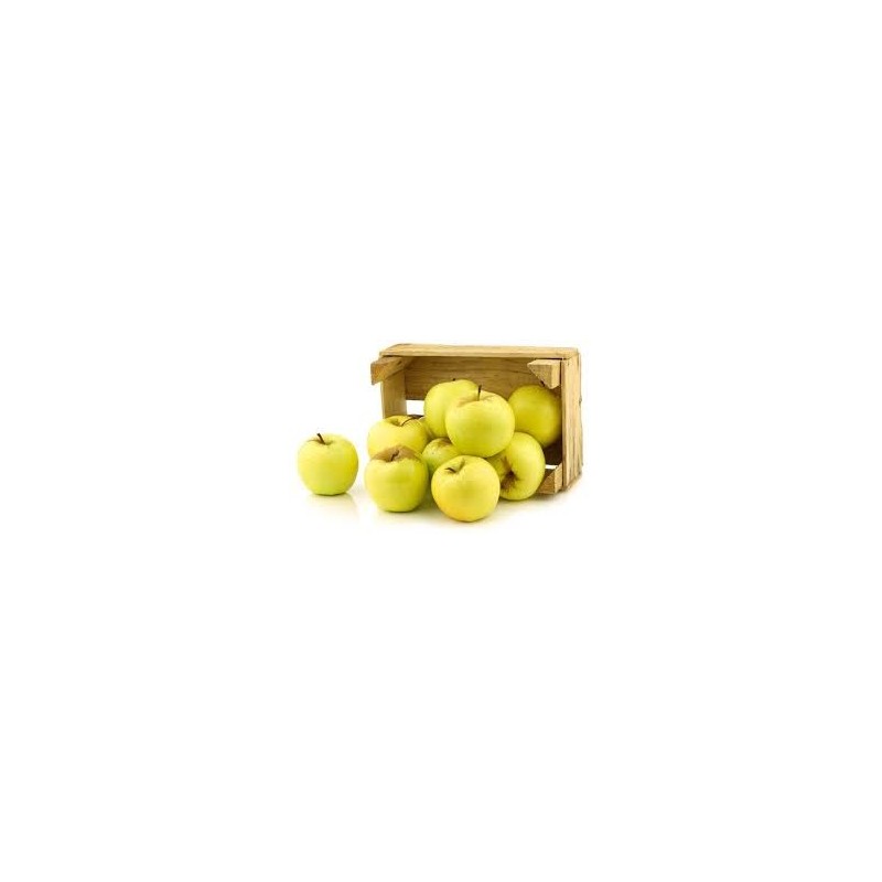 Pomes Golden Girona 500 gr