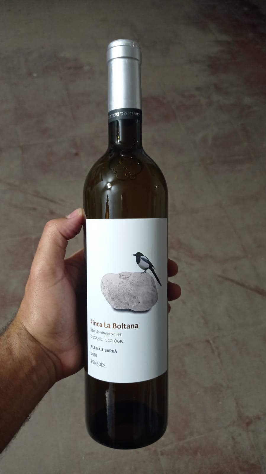 Vi blanc Finca la Boltana (Xarel·lo ecològic, 2018, Penedès) 